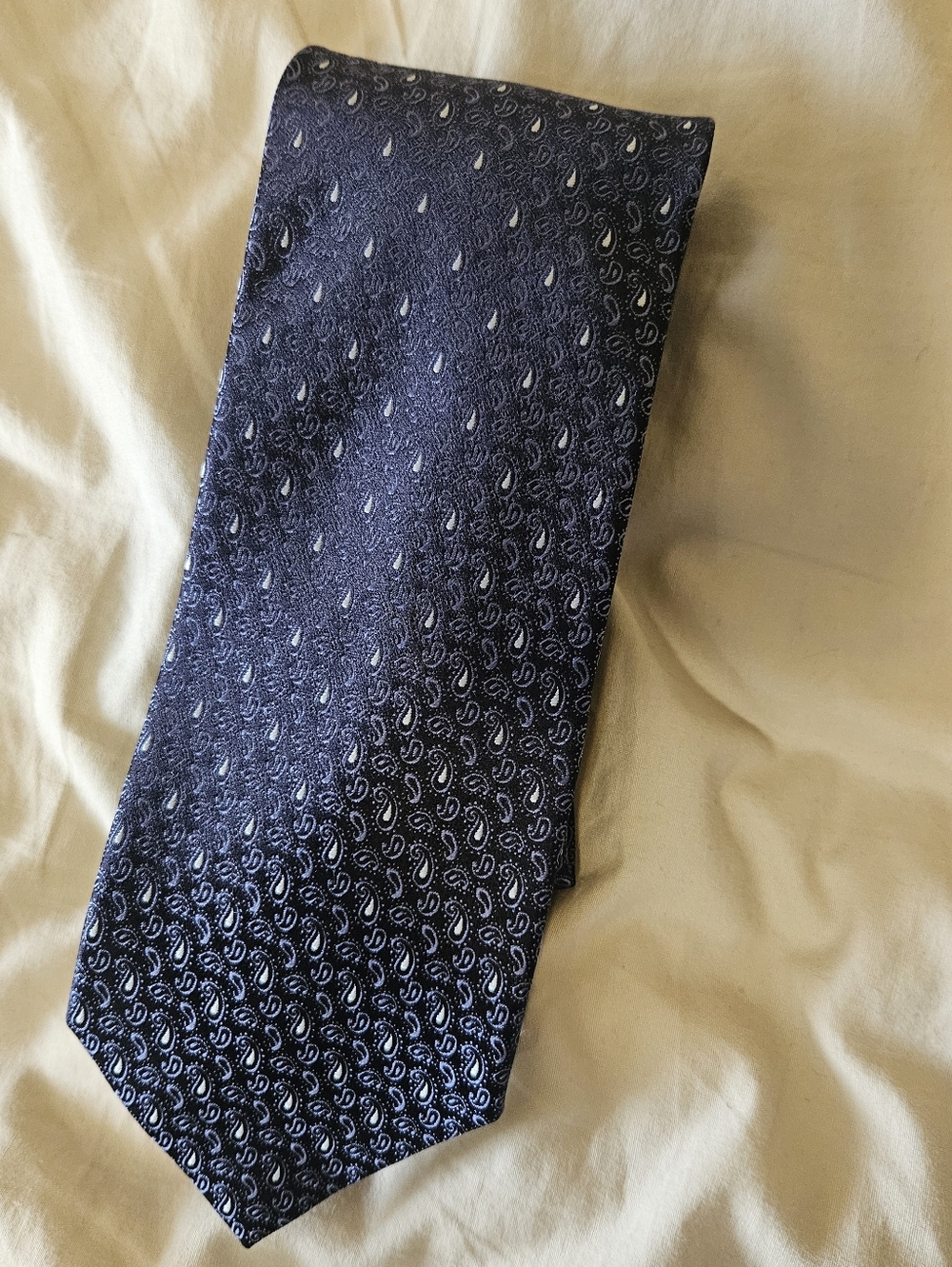 Ermenegildo Zegna Navy Paisley Silk Tie